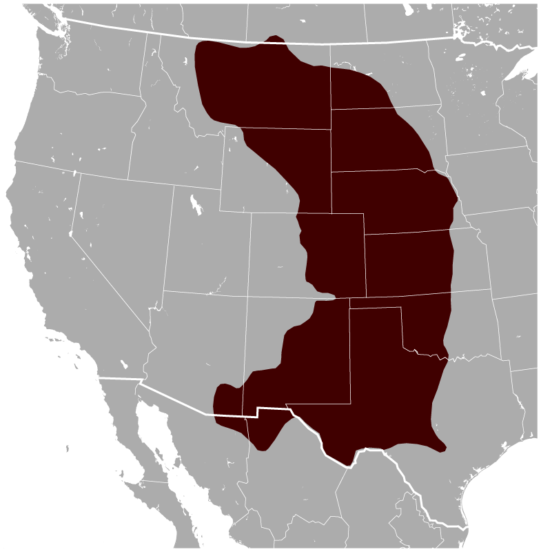 Geographical distribution black-tailed prairie dogs