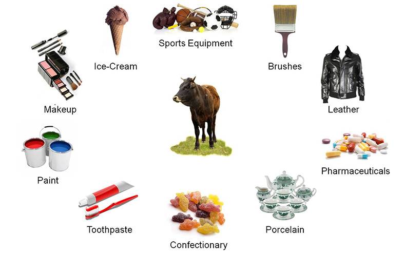 File:Cow related products.jpg