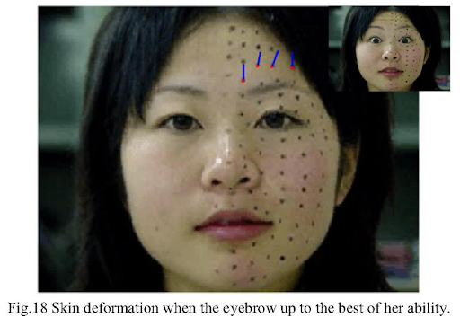 Development and control of a face robot imitating human muscular structures image 3.png