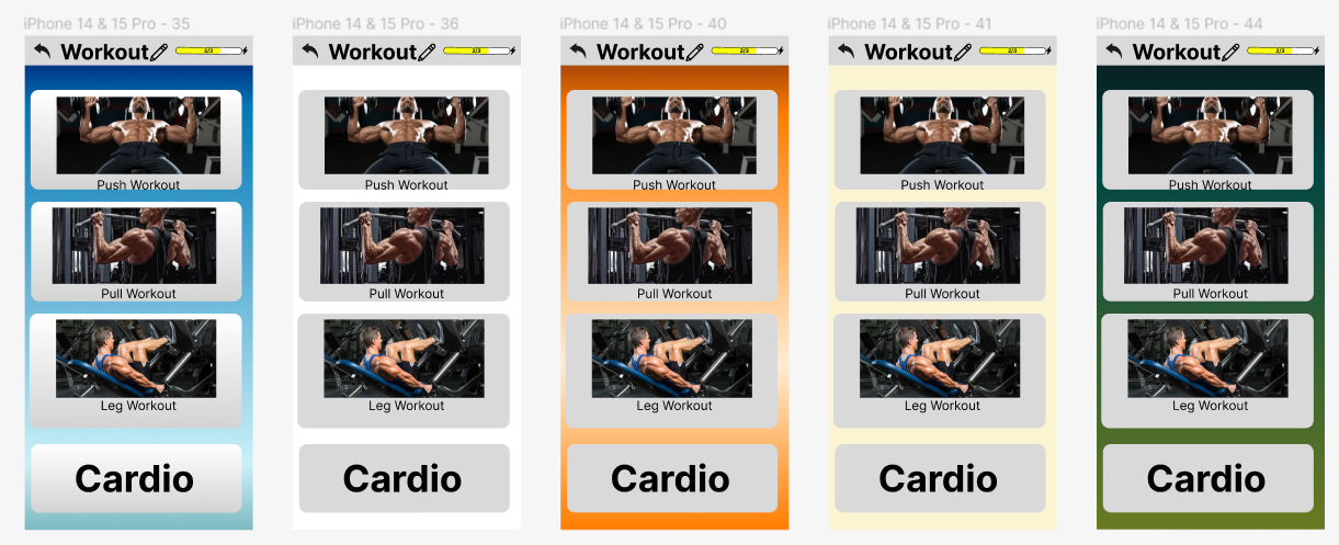 File:Image of workout pages.png