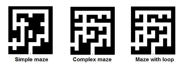 Figure 1.14: Different Mazes