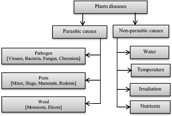 Plant diseases.png