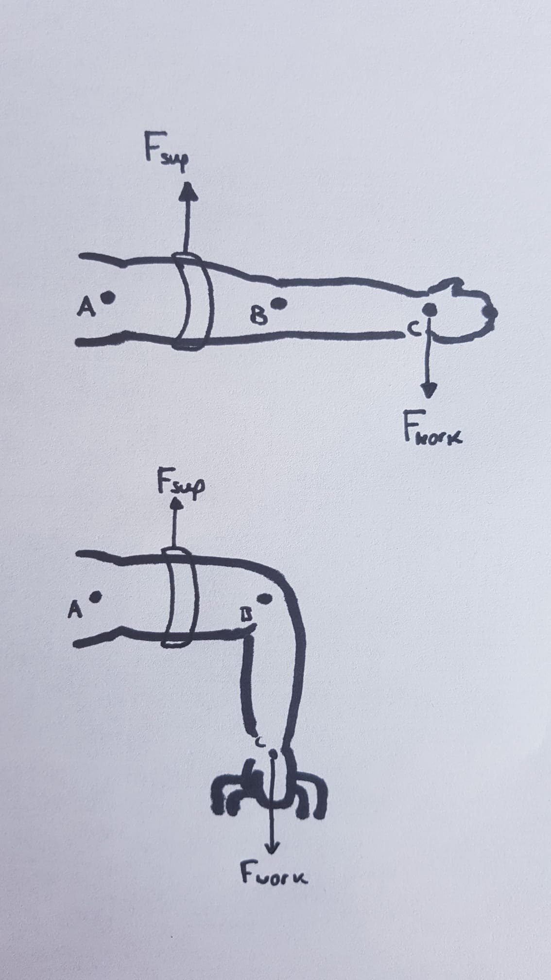Figure 5: Forces on arm joint