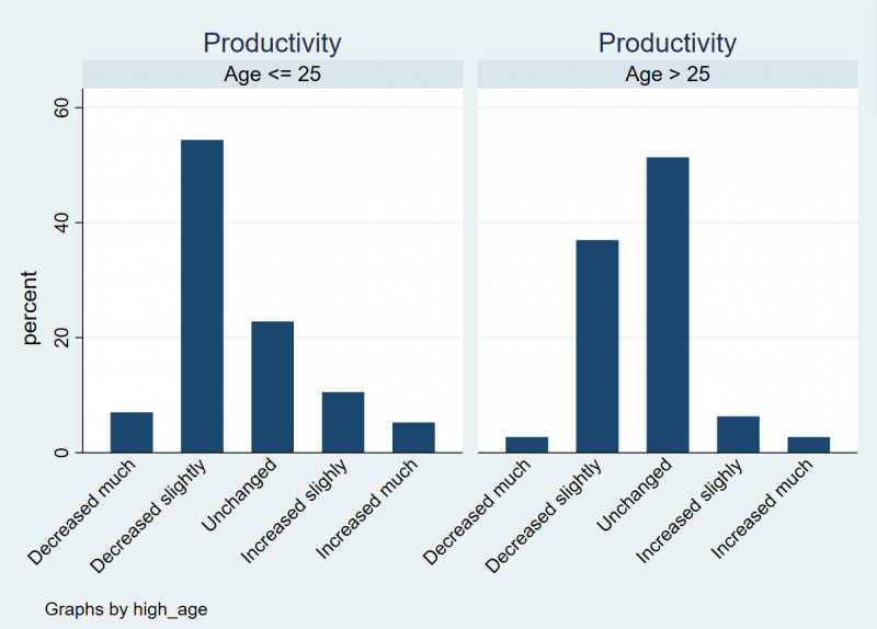 File:Bar chart productivity age.png