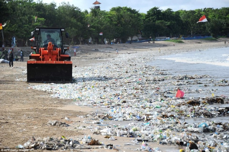 File:Trash-beach.jpg