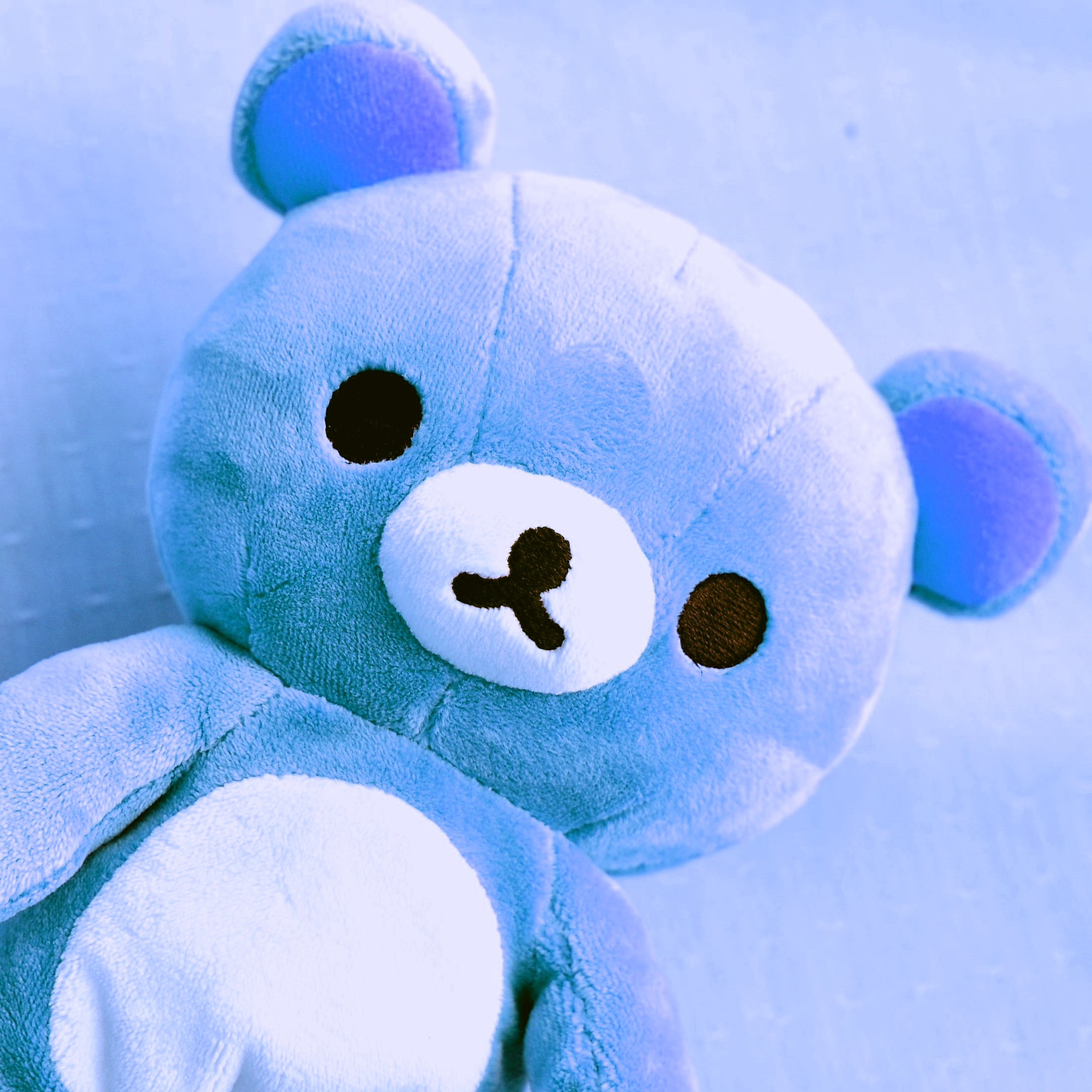File:Bear with blue filter.jpg