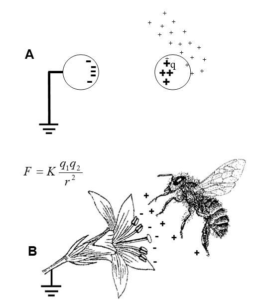 File:Bee+charge.png